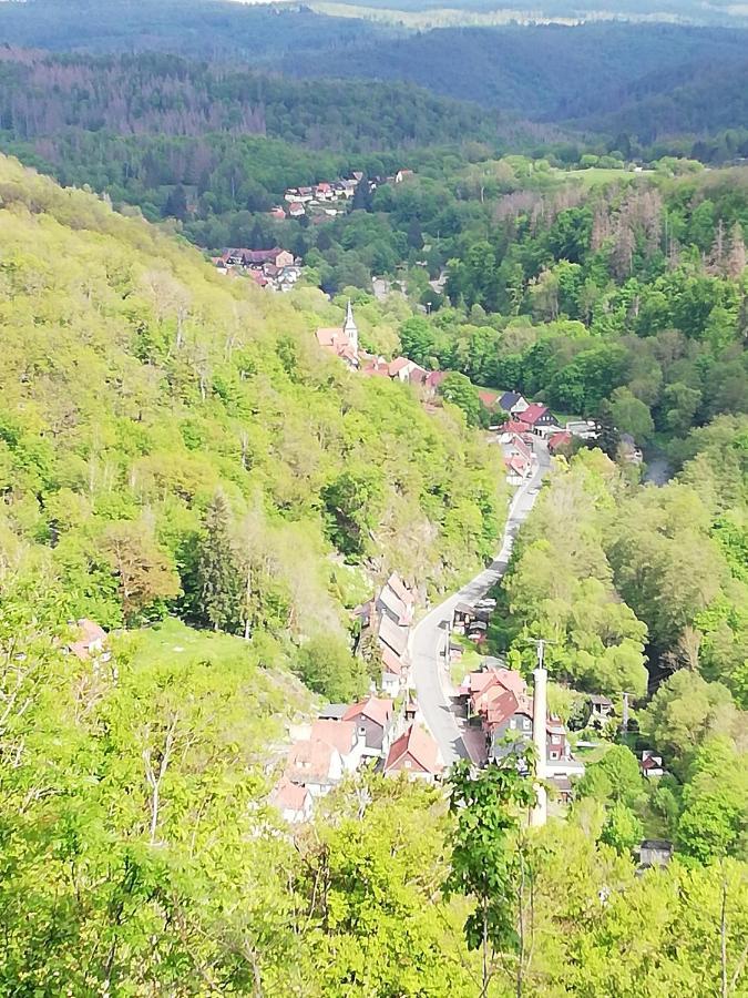 Alte Forsterei Διαμέρισμα Altenbrak Εξωτερικό φωτογραφία