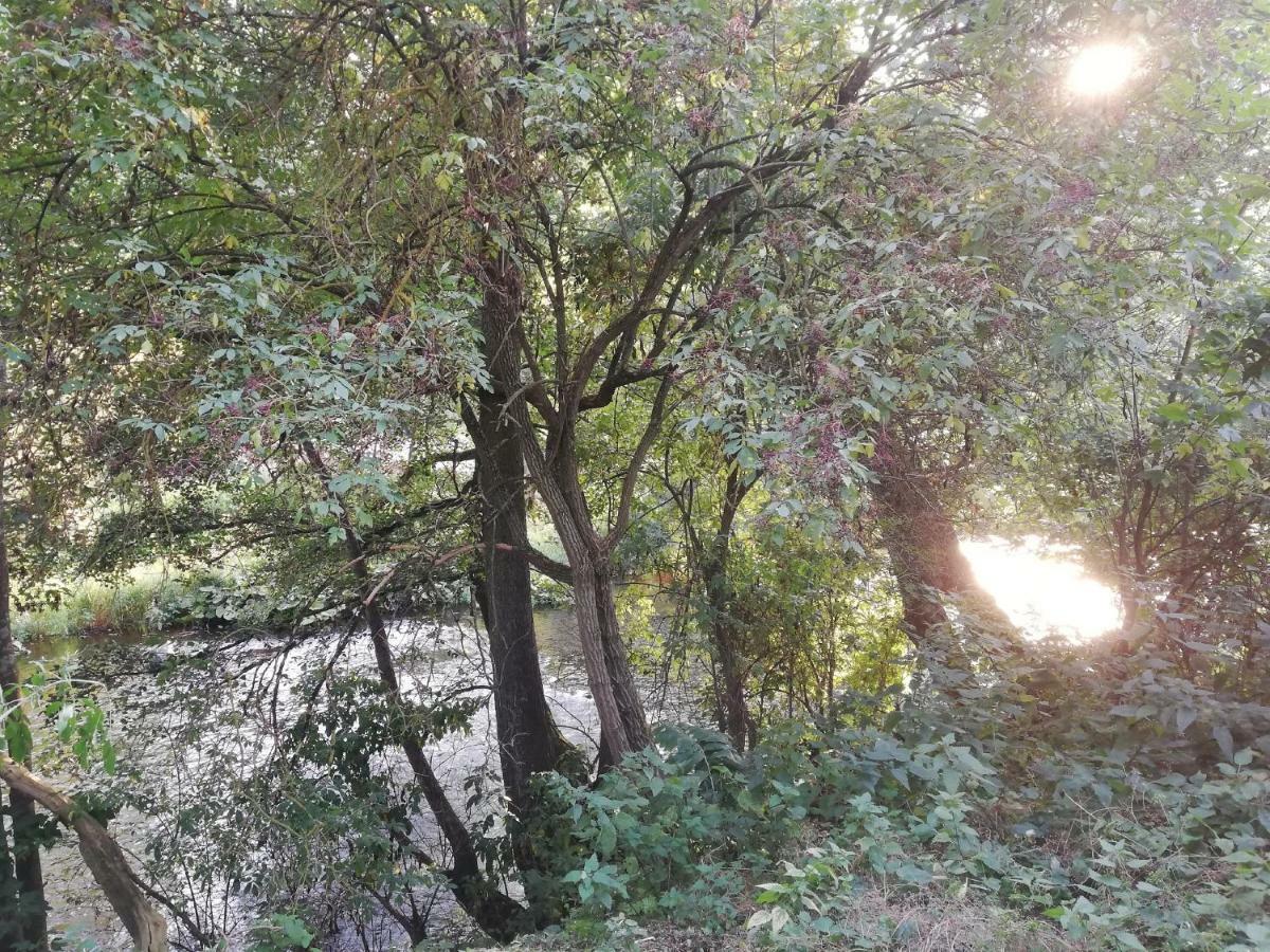 Alte Forsterei Διαμέρισμα Altenbrak Εξωτερικό φωτογραφία